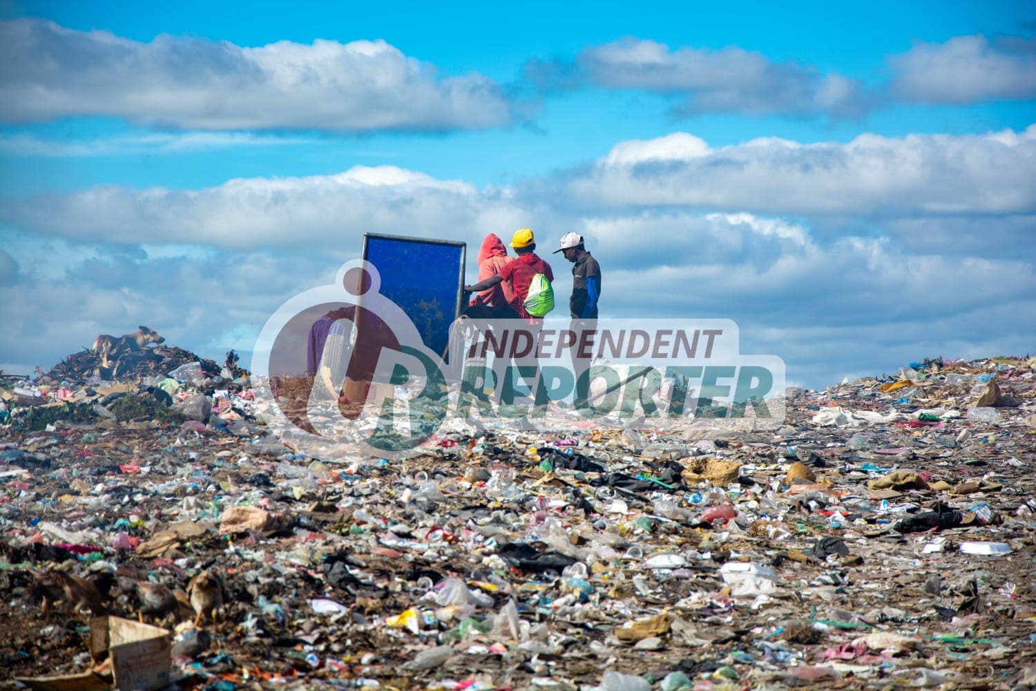Image article blog